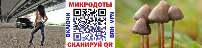 Псилоцибиновые грибы Psilocybine cubensis  Купить  Багратионовск 