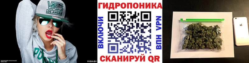 Купить где  Багратионовск  Каннабис VHQ 